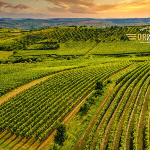 Liliac Lodge, Batos - fotografie aeriană